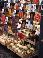 Bulbs