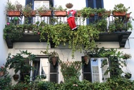 Papa Noel en Gibraltar