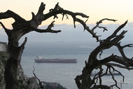 Baha de Algeciras