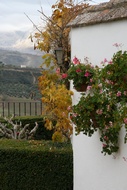 Jardines Andaluces