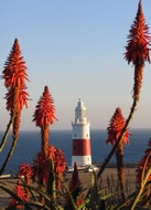 Punta de Europa