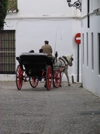 Paseo en Calesa
