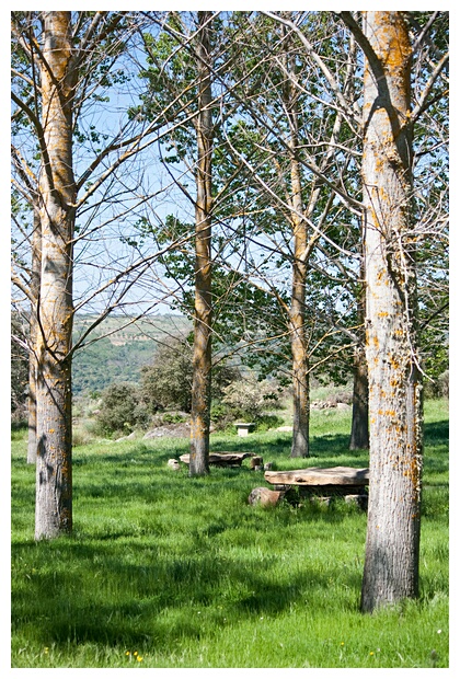 Paraje Primaveral