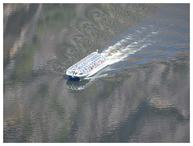 Crucero Fluvial