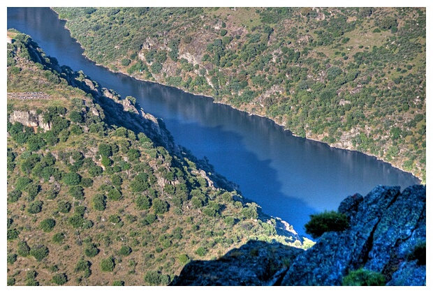 Rio Douro