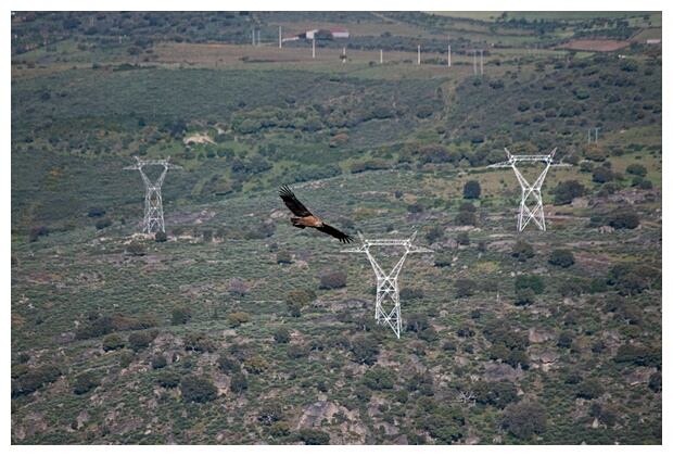 En Pleno Vuelo
