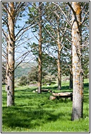 Paraje Primaveral
