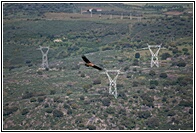 En Pleno Vuelo