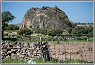 La Pea