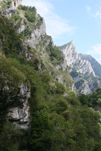 Picos de Europa