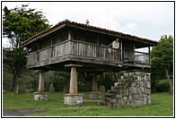 Hrreo Olvidado