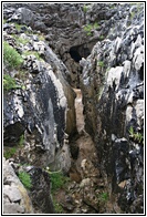 Bufones de Arenillas