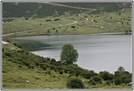 Lago de Enol