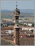 Cigeas