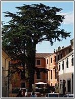 Palacio Sofraga