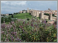 Murallas de vila