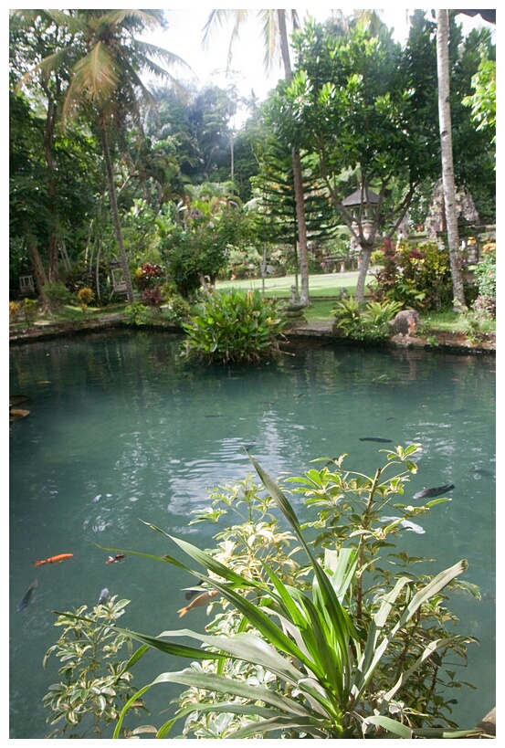 Spring Pool
