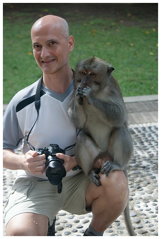 Monkey Forest