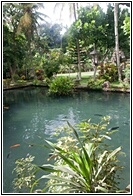 Spring Pool