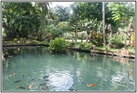Pura Gunung Kawi