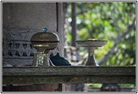 Offerings