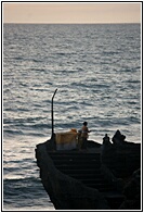 Sea Temple
