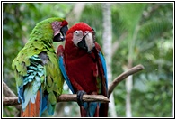 Telling Secrets