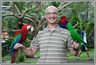 Full of Birds