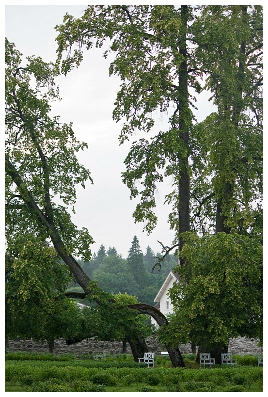 Palmse Manor Garden