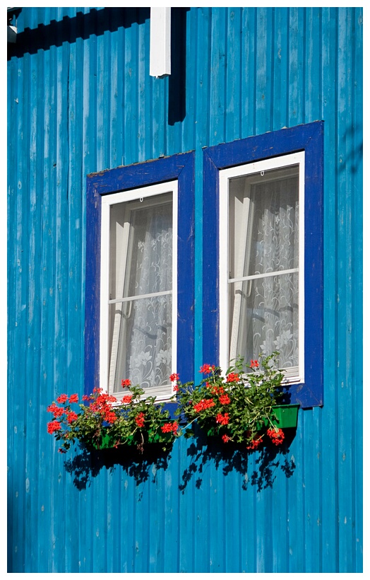 Blue Windows