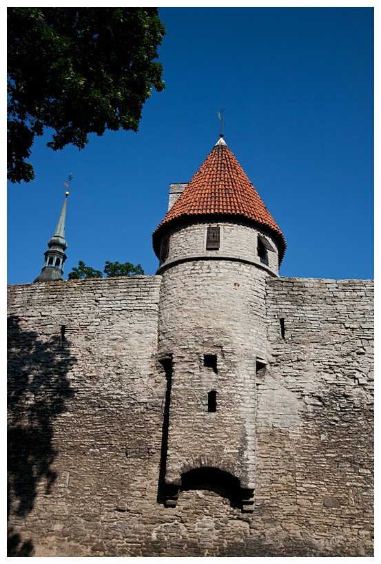 Castle Wall