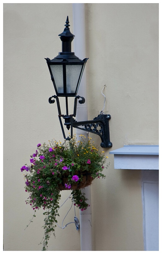 Streetlamp with Flowers