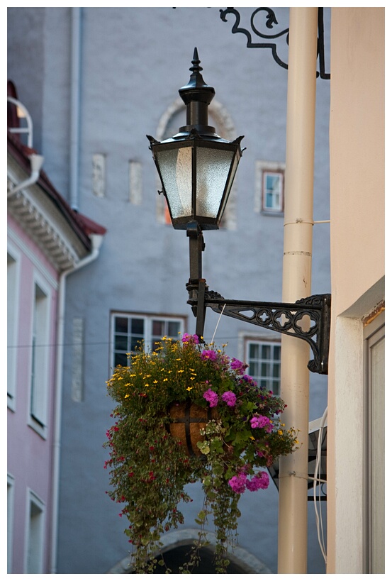 Streetlamp of Tallinn