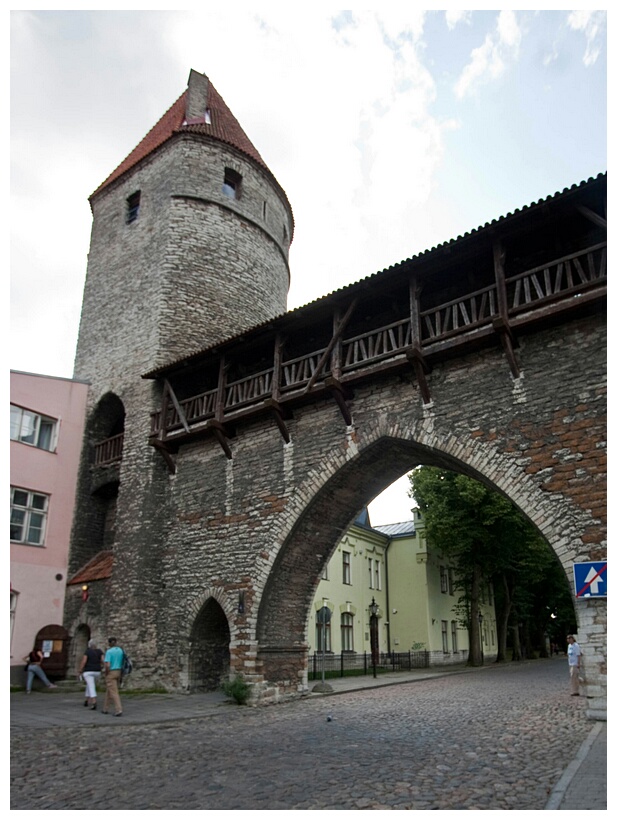Tallin Town Wall