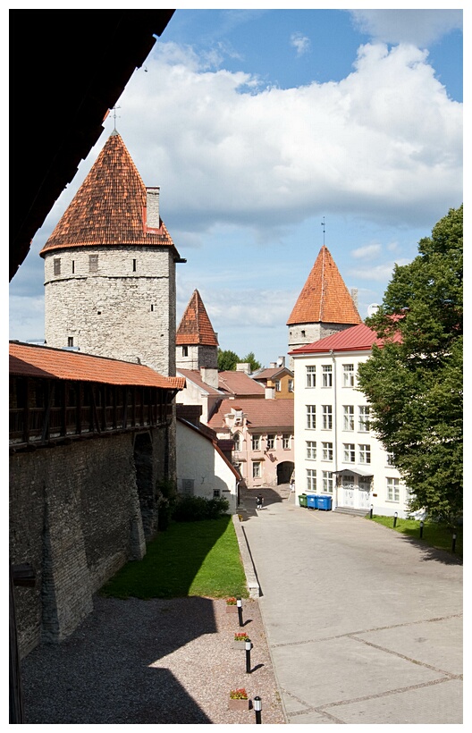 View from the Wall