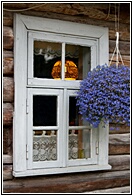 Beautiful Window