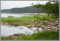 Altja Trail