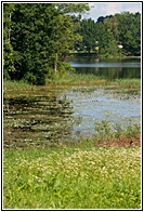 Rouge Lake
