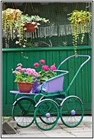 Funny Garden