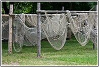 Fisher's Nets