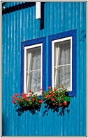 Blue Windows