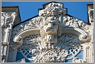 White Lion