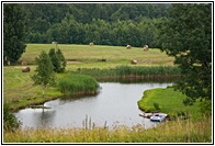 Idyllic Landscape