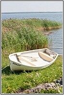 White Boat