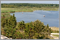 Saaremaa Landscape