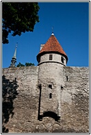 Castle Wall