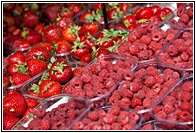 Red Berries