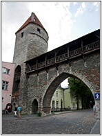 Tallin Town Wall