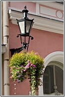 Streetlamp with Flowers