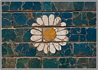 Glazed Flower